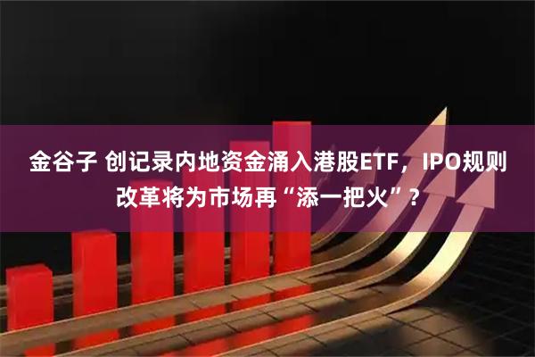 金谷子 创记录内地资金涌入港股ETF，IPO规则改革将为市场再“添一把火”？