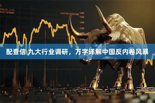 配查信 九大行业调研，万字详解中国反内卷风暴
