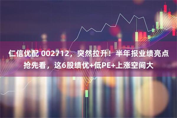仁信优配 002712，突然拉升！半年报业绩亮点抢先看，这6股绩优+低PE+上涨空间大