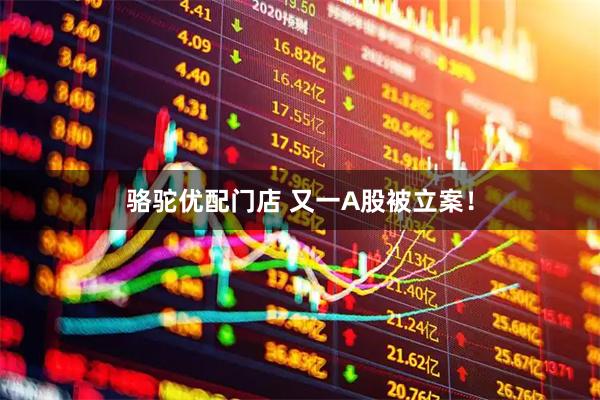 骆驼优配门店 又一A股被立案！